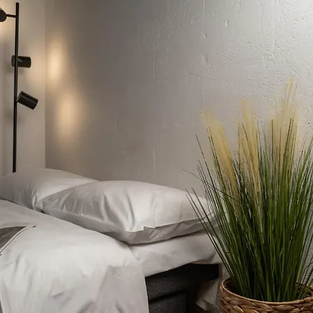 Air 302 Apartment Vilnius